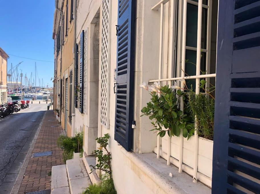 Studios Du Marin Sur Port De 拉西约塔 外观 照片